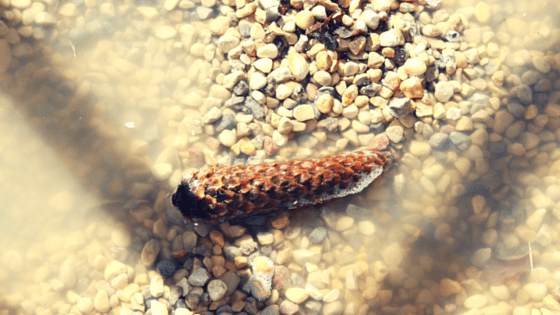 8 Free Solutions For Bored Children