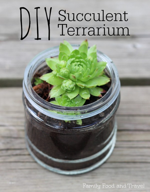 DIY-Succulent-Terrarium