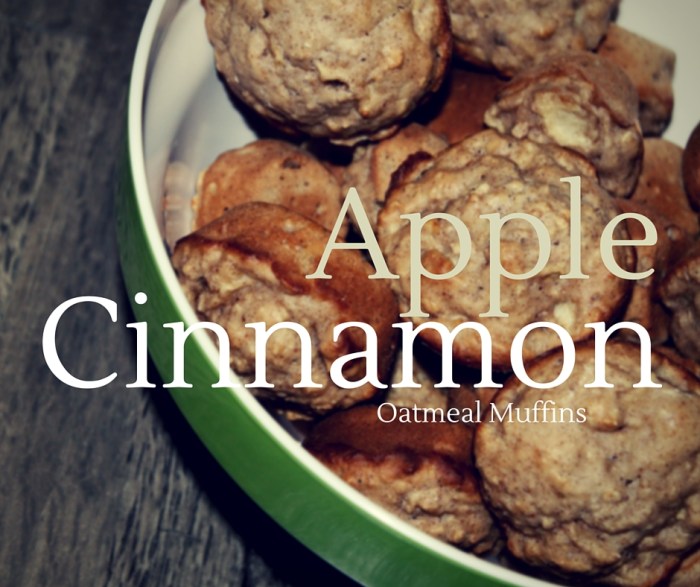 Apple Cinnamon Oatmeal Muffins FB
