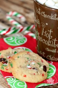 chocolate-chip-candy-cane-cookies-683x1024