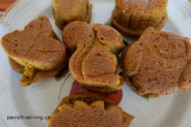 Pumpkin Recipes Perfect for Fall