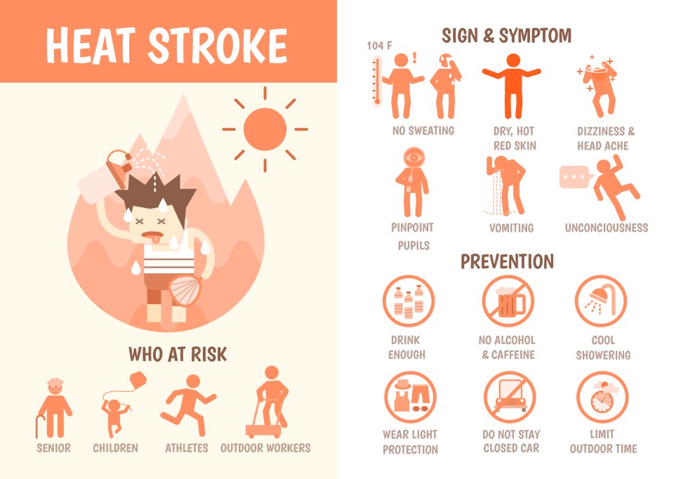 Ways to Avoid Heat Stroke Infographic