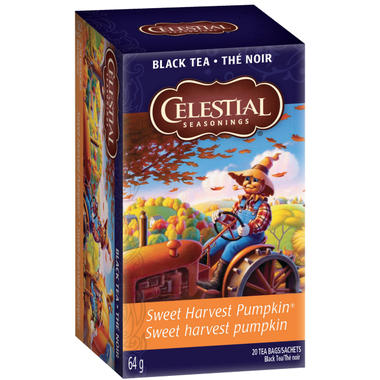 Gift Ideas for the Pumpkin Spice Obsessed