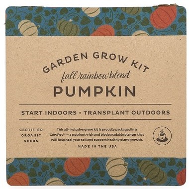 Gift Ideas for the Pumpkin Spice Obsessed